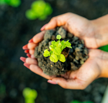 Инженерные биологические системы: междисциплинарное образование в школах - fgospostavki.ru - Тюмень