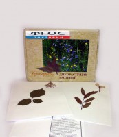 Гербарий "Дикорастущие растения" (28 видов) - fgospostavki.ru - Тюмень