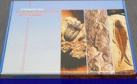 Коллекция "Палеонтологическая" (16 образцов) - fgospostavki.ru - Тюмень