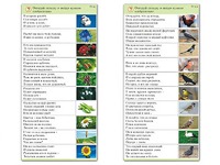 Комплект карточек (10) "Обучающий калейдоскоп. Природа" - fgospostavki.ru - Тюмень