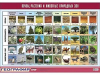 Таблица демонстрационная "Почвы, растения и животные природных зон" (винил 100*140) - fgospostavki.ru - Тюмень