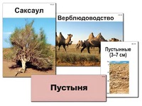Модель-аппликация "Природные зоны России" (ламинированная) - fgospostavki.ru - Тюмень