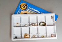 Коллекция "Раковины моллюсков" - fgospostavki.ru - Тюмень