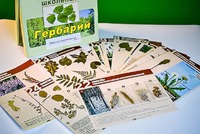 Гербарий к курсу основ общей биологии - fgospostavki.ru - Тюмень