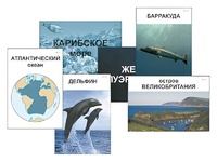 Модель-аппликация "Океаны. Знакомство" (ламинированная) - fgospostavki.ru - Тюмень