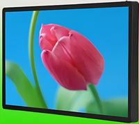 Киоск информационный настенный сенсорный 27" (вариант 1) - fgospostavki.ru - Тюмень