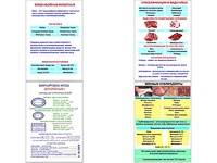 Плакаты ПРОФТЕХ "Классификации и виды мяса" (4 пл, винил, 70х100) - fgospostavki.ru - Тюмень