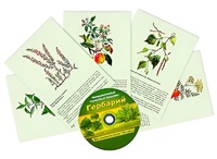 Интерактивный наглядный комплекс "Гербарий "Для начальной школы" - fgospostavki.ru - Тюмень