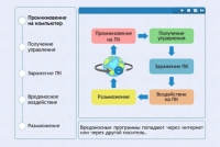 Интерактивные курсы. Информатика 10 класс . Базовый. - fgospostavki.ru - Тюмень