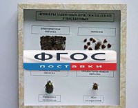 Коллекция энтомологическая "Примеры защитных приспособлений у насекомых" - fgospostavki.ru - Тюмень