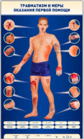 Электрифицированный стенд-тренажер "Травматизм и меры оказания первой помощи" - fgospostavki.ru - Тюмень