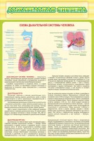 Стенд "Дыхательная система" - fgospostavki.ru - Тюмень
