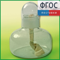 Спиртовка демонстрационная - fgospostavki.ru - Тюмень