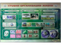 Электрифицированный стенд "Уровни организации жизни" - fgospostavki.ru - Тюмень