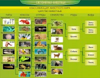 Стенд "Систематика животных" - fgospostavki.ru - Тюмень