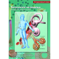 Интерактивные плакаты. Биология человека. Программно-методический комплекс - fgospostavki.ru - Тюмень