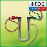 Прибор для электролиза растворов солей демонстрационный - fgospostavki.ru - Тюмень