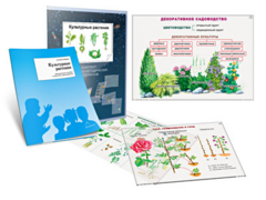 Комплект кодотранспарантов "Культурные растения" - fgospostavki.ru - Тюмень