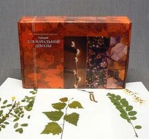 Гербарий для Начальной школы (28 видов) - fgospostavki.ru - Тюмень
