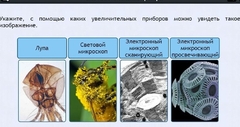 Интерактивные курсы. Биология 5 класс. Расширенный - fgospostavki.ru - Тюмень