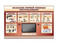 Многофункциональный интерактивный стенд-тренажер "Оказание первой помощи пострадавшим" для учащихся общеобразовательных учреждений - fgospostavki.ru - Тюмень