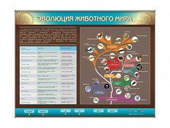 Интерактивный электрифицированный стенд "Эволюция животного мира" - fgospostavki.ru - Тюмень