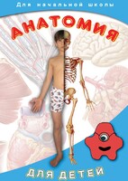 DVD "Анатомия для детей" - fgospostavki.ru - Тюмень