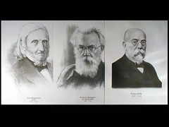 Портреты биологов (26 штук, формат А3) - fgospostavki.ru - Тюмень