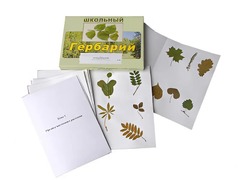 Гербарий "Морфология растений" (6 тем, 30 видов) - fgospostavki.ru - Тюмень