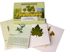 Гербарий "Систематика растений. Высшие споровые и семенные" (раздаточный) - fgospostavki.ru - Тюмень