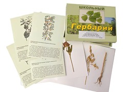 Гербарий "Систематика растений. Семейство Бобовые. Злаки" (раздаточный) - fgospostavki.ru - Тюмень
