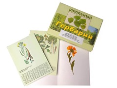 Гербарий "Систематика растений. Семейство Пасленовые. Крестоцветные. Сложноцветные" (раздаточный) - fgospostavki.ru - Тюмень