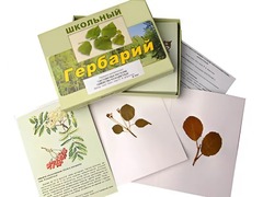 Гербарий "Систематика растений. Семейство Розоцветные" (раздаточный) - fgospostavki.ru - Тюмень