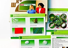 Коллекция "Шелк и продукты его переработки" (средняя школа) - fgospostavki.ru - Тюмень