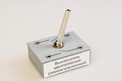 Выключатель двухполюсный (демонстрационный) - fgospostavki.ru - Тюмень
