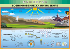 Таблица "Возникновение жизни на земле" (100х140 сантиметров, винил) - fgospostavki.ru - Тюмень