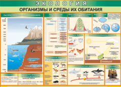 Таблица "Организмы и среды их обитания" (100х140 сантиметров, винил) - fgospostavki.ru - Тюмень