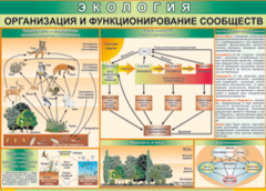 Таблица "Организация и функционирование сообществ" (100х140 сантиметров, винил) - fgospostavki.ru - Тюмень