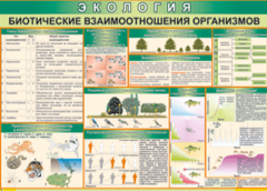 Таблица "Биотические взаимоотношения организмов" (100х140 сантиметров, винил) - fgospostavki.ru - Тюмень
