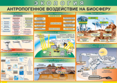 Таблица "Антропогенное воздействие на биосферу" (100х140 сантиметров, винил) - fgospostavki.ru - Тюмень