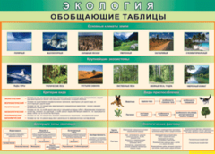Таблица "Экология. Обобщающие таблицы" (100х140 сантиметров, винил) - fgospostavki.ru - Тюмень