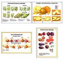 Плакаты ПРОФТЕХ "Ассортимент овощных культур" (12 пл, винил, 70х100) - fgospostavki.ru - Тюмень