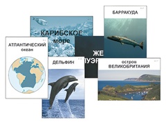 Модель-аппликация "Океаны. Знакомство" (ламинированная) - fgospostavki.ru - Тюмень
