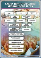 Стенд "Схема приготовления дрожжевого теста" - fgospostavki.ru - Тюмень