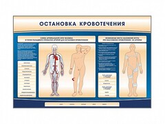 Электрифицированный стенд-тренажер "Остановка кровотечения" - fgospostavki.ru - Тюмень