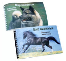 Пособие для слабовидящих - Домашние животные - fgospostavki.ru - Тюмень