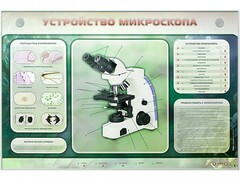 Электрифицированный стенд "Устройство микроскопа и правила работы c ним" - fgospostavki.ru - Тюмень
