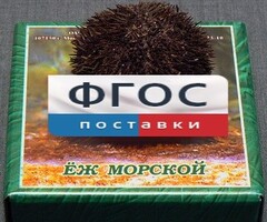 Сухой препарат "Еж морской" - fgospostavki.ru - Тюмень