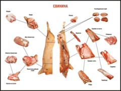 Таблица "Правила разделки мясных туш. Свинина" (100х140 сантиметров. винил) - fgospostavki.ru - Тюмень