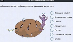 Интерактивные курсы. Биология 6 класс. Расширенный - fgospostavki.ru - Тюмень